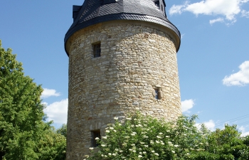 weingut-impressionen-13