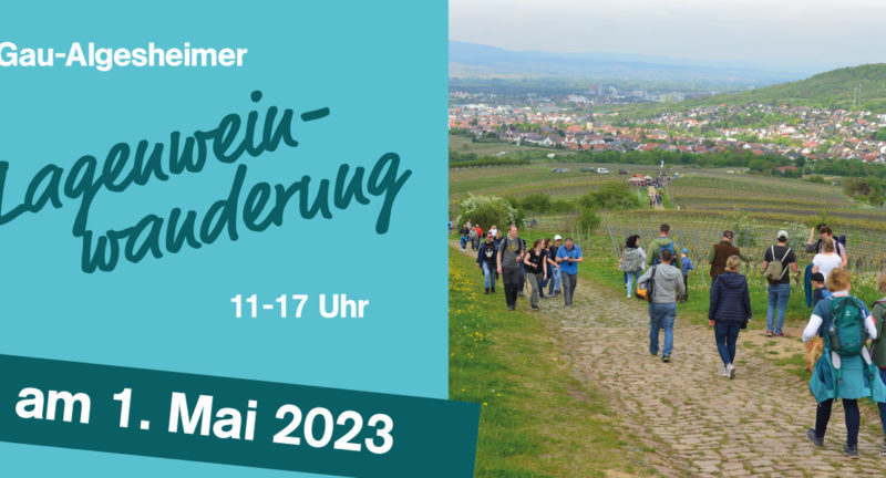 Lagenweinwanderung Gau Algesheim 2023